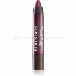 Burt’s Bees Glossy Lip Crayon rúž s vysokým leskom v ceruzke odtieň Bordeaux Vines 2,83 g