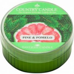Country Candle Pine & Pomelo čajová sviečka 42 g