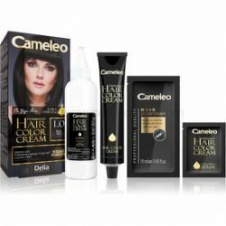Delia Cosmetics Cameleo Omega permanentná farba na vlasy odtieň 1.0 Black